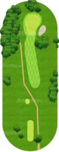 No.8のコースレイアウト