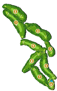 コース全体俯瞰図