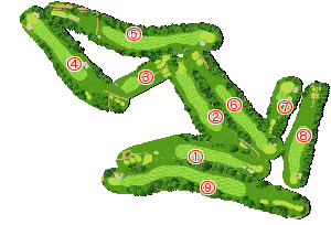 コース全体俯瞰図