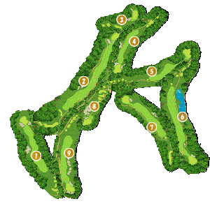 コース全体俯瞰図