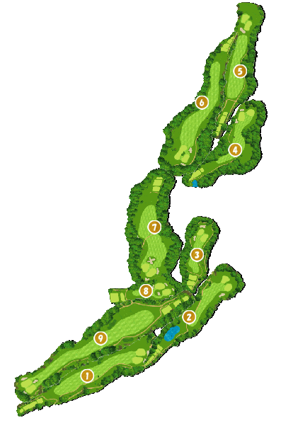 コース全体俯瞰図