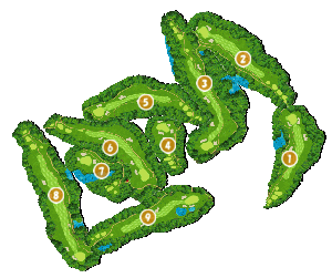 コース全体俯瞰図