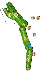 コース全体俯瞰図
