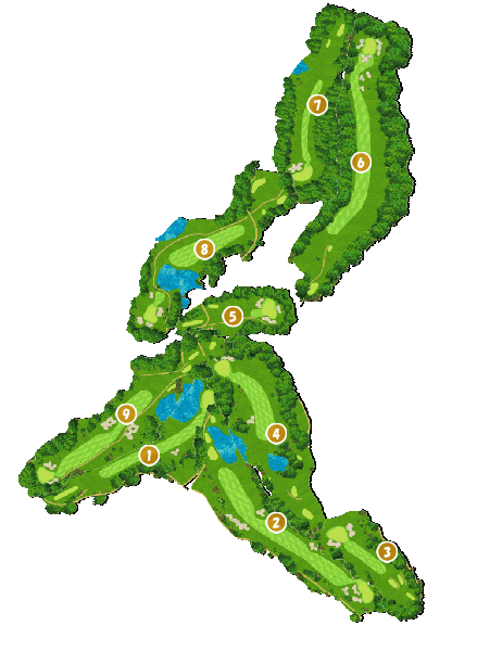 コース全体俯瞰図