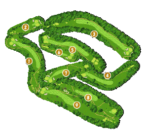 コース全体俯瞰図