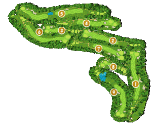 コース全体俯瞰図