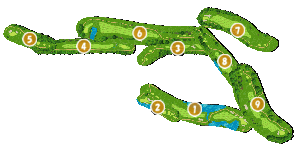 コース全体俯瞰図