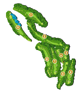 コース全体俯瞰図