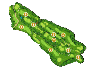 コース全体俯瞰図