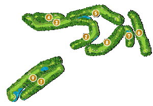 コース全体俯瞰図