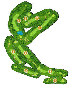 コース全体俯瞰図