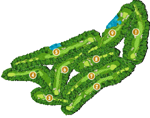 コース全体俯瞰図