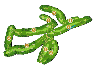 コース全体俯瞰図