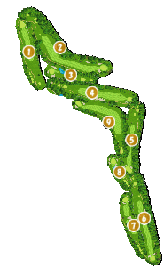 コース全体俯瞰図