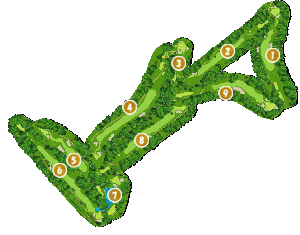 コース全体俯瞰図