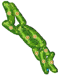 コース全体俯瞰図