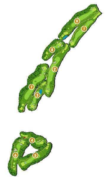 コース全体俯瞰図