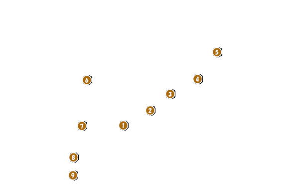 コース全体俯瞰図