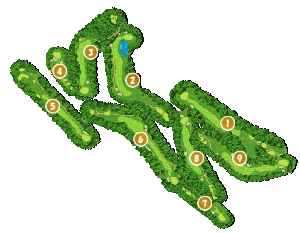 コース全体俯瞰図