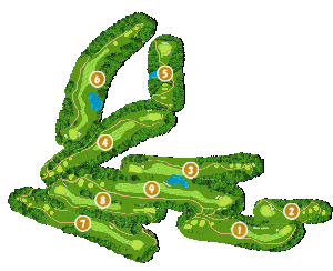 コース全体俯瞰図