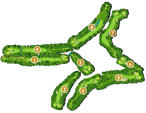 コース全体俯瞰図