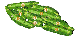 コース全体俯瞰図