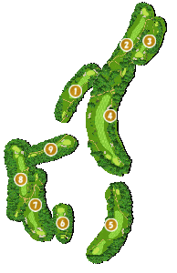 コース全体俯瞰図