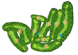 コース全体俯瞰図