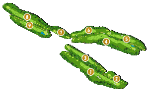 コース全体俯瞰図