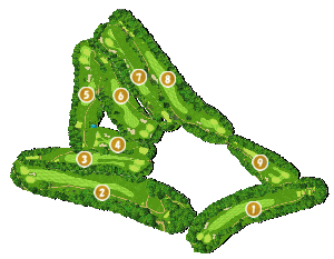 コース全体俯瞰図