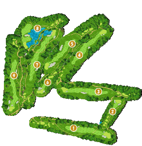 コース全体俯瞰図