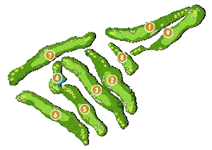 コース全体俯瞰図