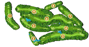 コース全体俯瞰図