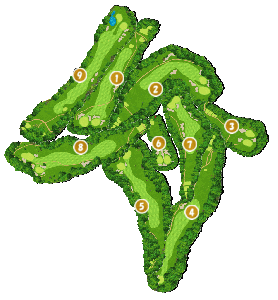 コース全体俯瞰図