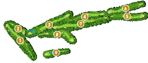 コース全体俯瞰図