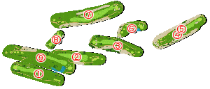 コース全体俯瞰図