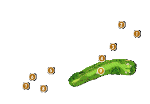 コース全体俯瞰図