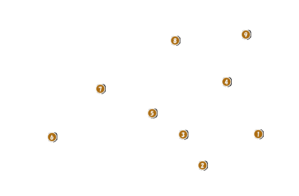 コース全体俯瞰図