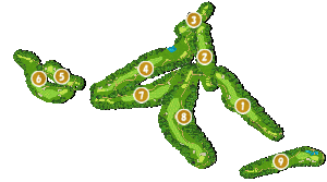 コース全体俯瞰図