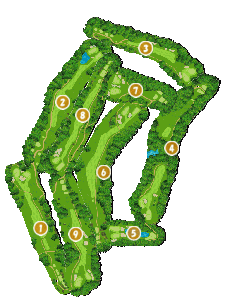 コース全体俯瞰図