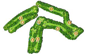 コース全体俯瞰図