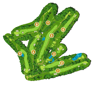 コース全体俯瞰図