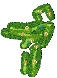 コース全体俯瞰図