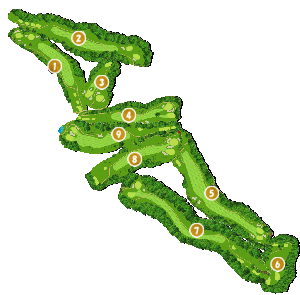 コース全体俯瞰図