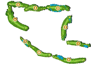 コース全体俯瞰図