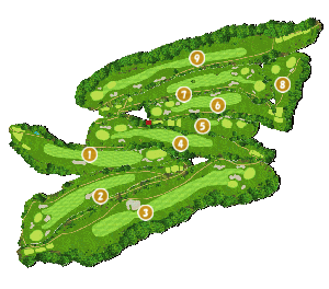 コース全体俯瞰図