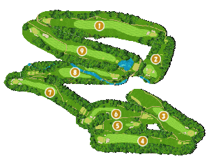 コース全体俯瞰図