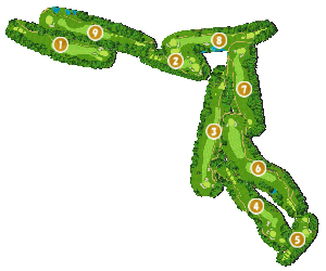 コース全体俯瞰図