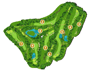 コース全体俯瞰図