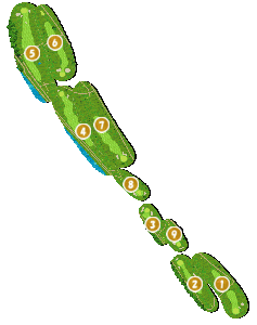 コース全体俯瞰図